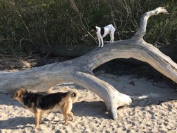 familie zilch mai 2019 3